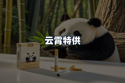 云霄特供
